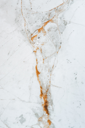 spiek calacatta gold